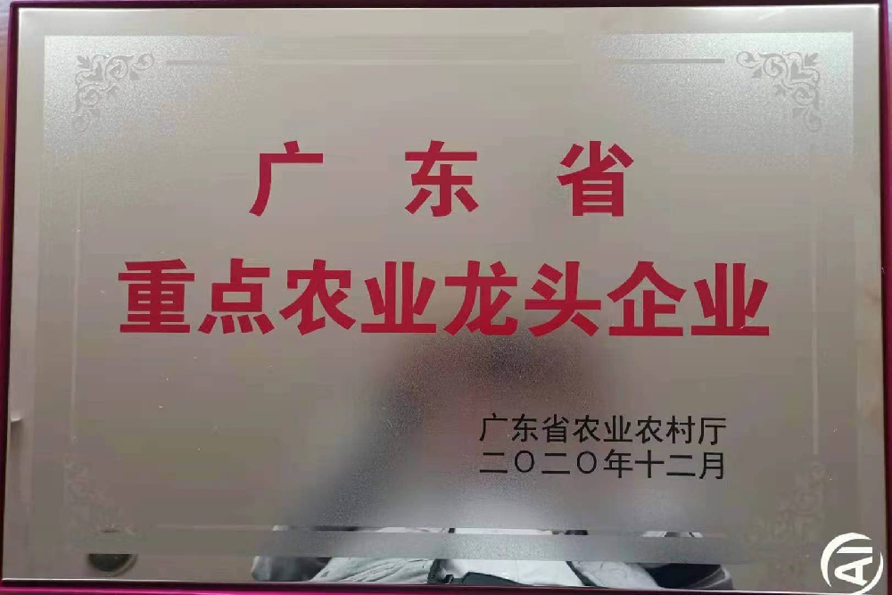 更上一層樓！追求無止境