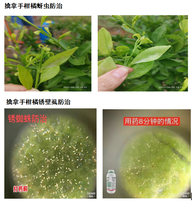 針對這個可控難治的病，我們有高招！
